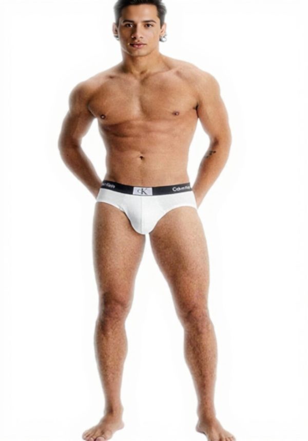 Calvin Klein Slip Homme Coton Recyclé Confortable Modèle