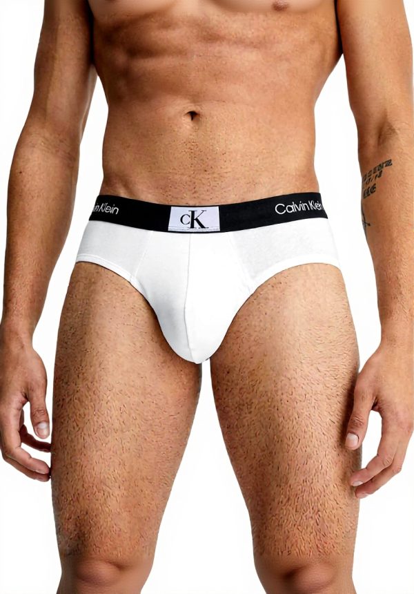 Calvin Klein Slip Homme Coton Recyclé Confortable Modèle