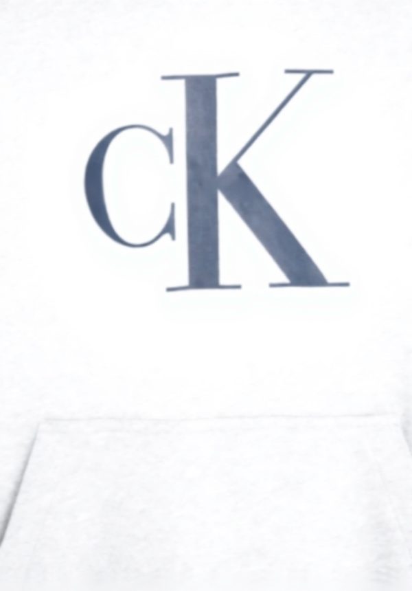 Sweat à capuche homme Calvin Klein coton confortable