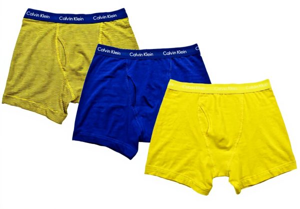 Caleçon Calvin Klein Homme Coton Élastique Multipack Confort