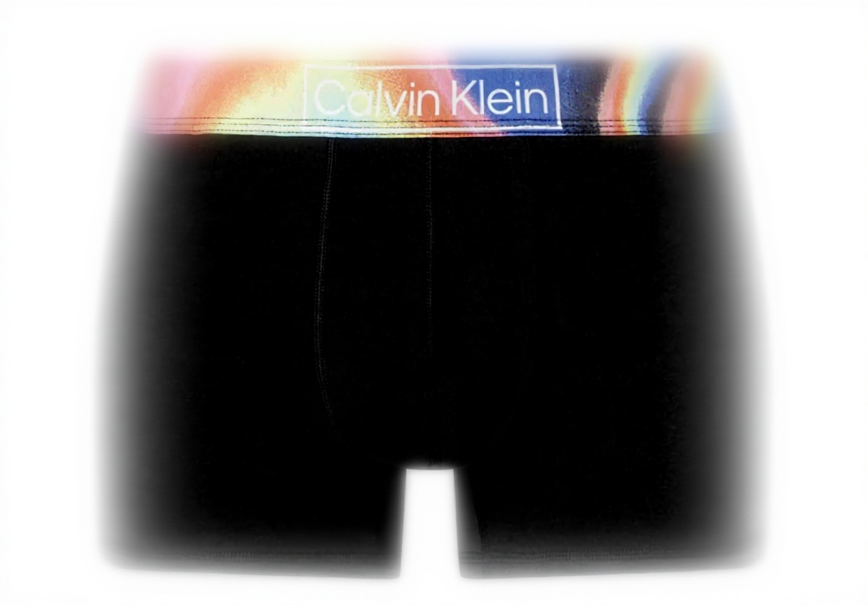 Caleçon Calvin Klein Homme Taille S Élasticité Logo