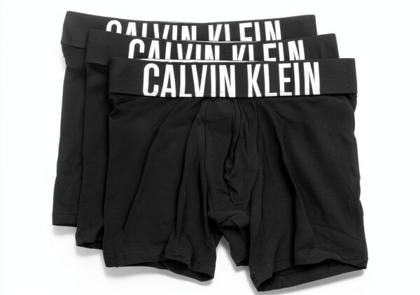 Boxer Calvin Klein Homme Coton Élasthanne Confortable Noir-0